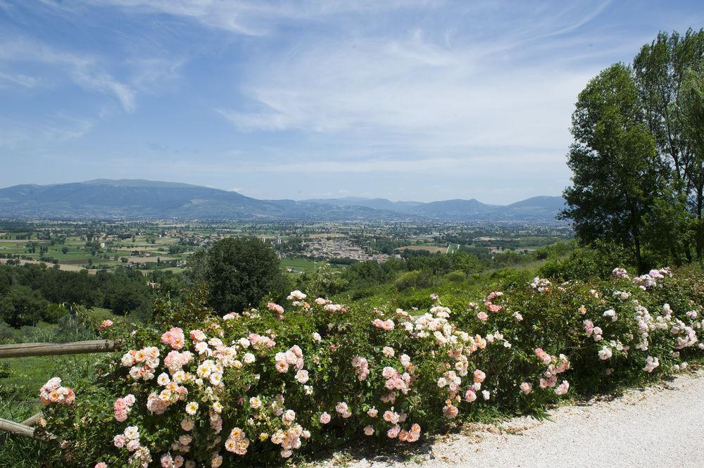 Il Poggio Dei Pettirossi Apartment Pettorano sul Gizio Bagian luar foto
